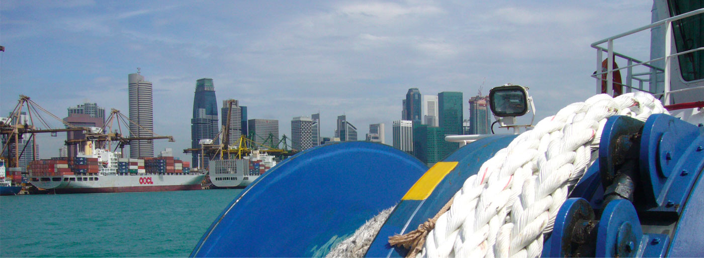 tehoropes singapore