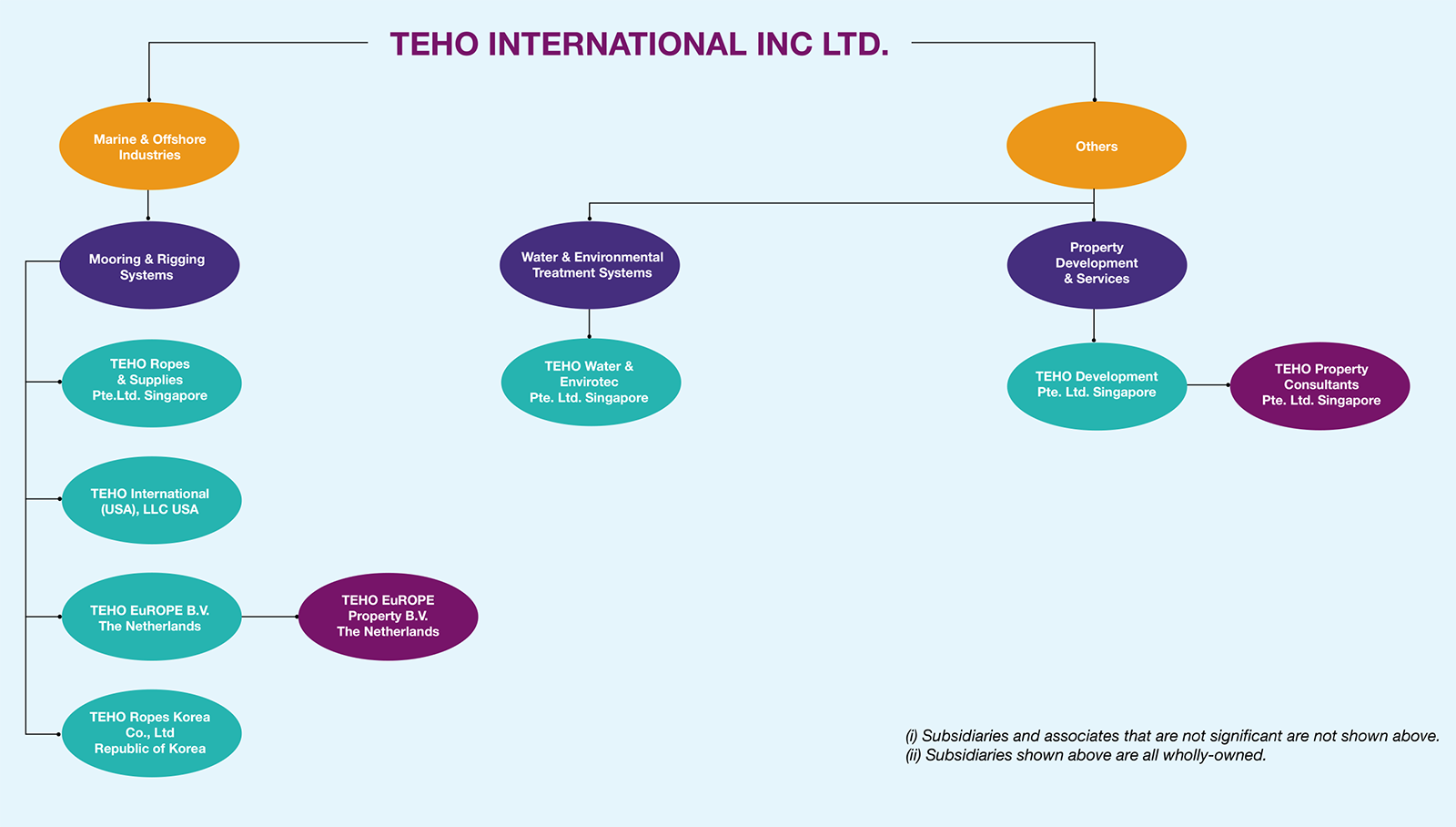 TEHO-Group-structure